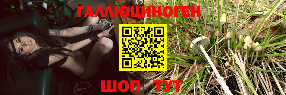 Норильск  Галлюциногенные грибы Cubensis  Псилоцибиновые грибы Psilocybe  Вход с VPN 