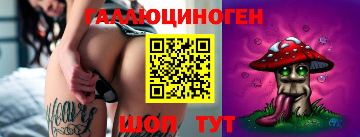 Псилоцибиновые грибы прущие грибы Норильск